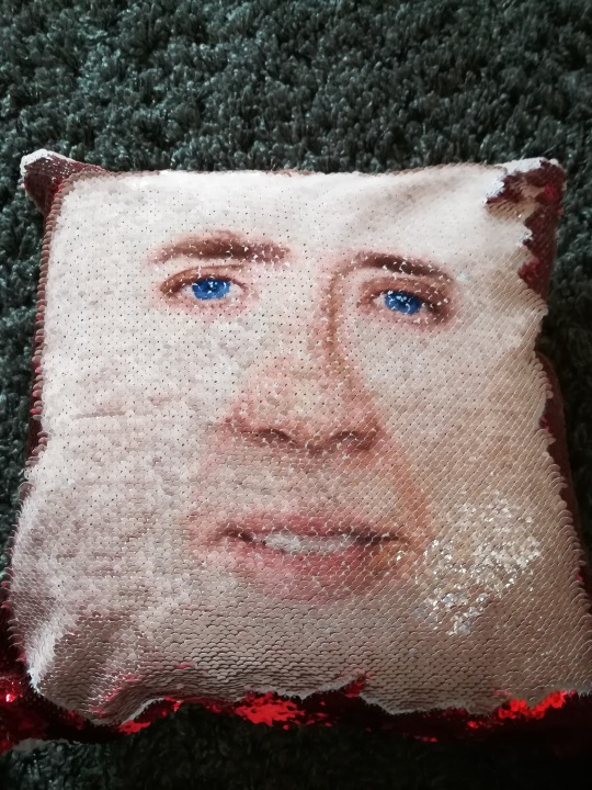 grossestimmung: millennialfirebird:  sarcastic-and-witty-username:  My friends got me the best (and worst) present ever It’s one of those sequin pillows where you can turn the sequins. And this is how they look like from both sides. Please someone make