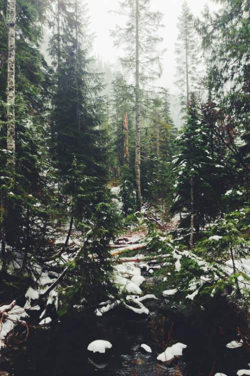 XXX expressions-of-nature:  by Nicole Elise photo