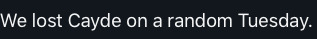 Tumblr media
