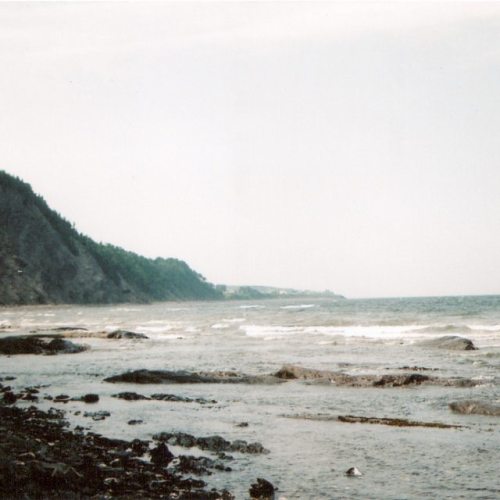 Going back to this soon. . #gaspesie #quebec #ocean #film #analogue #ishootfilm #35mmphotography