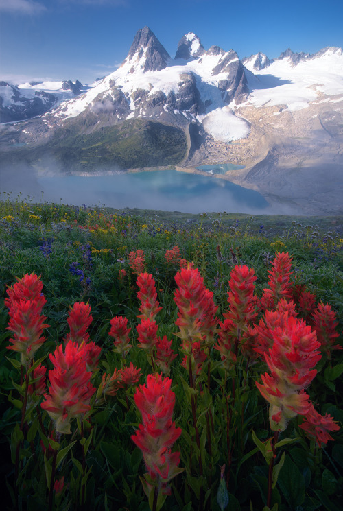 oneshotolive:  Summer in British Columbia, Canada [1343x2000] [OC] IG @arpandas_photography_adventure 📷: dasarpan007 