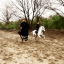 grishareblog