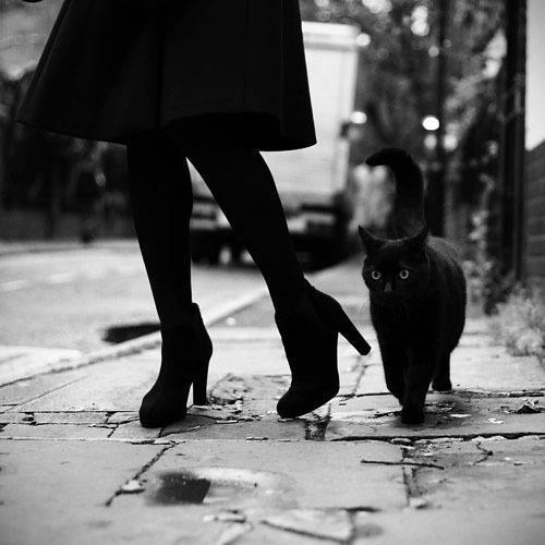 Slobbering Darkness