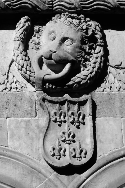 Happy (Stoned?) Lion and Shield With Fleurs de Lis, Stone Carving, Interior Patio, Casa de las Conch