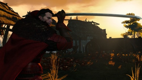 the only being in the Witcher universe capable of wielding The Blade&trade;