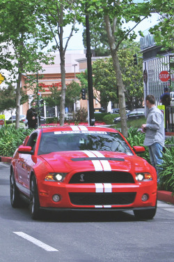 fullthrottleauto:  Ford Mustang Shelby GT500 (by sumosloths) (FTA)