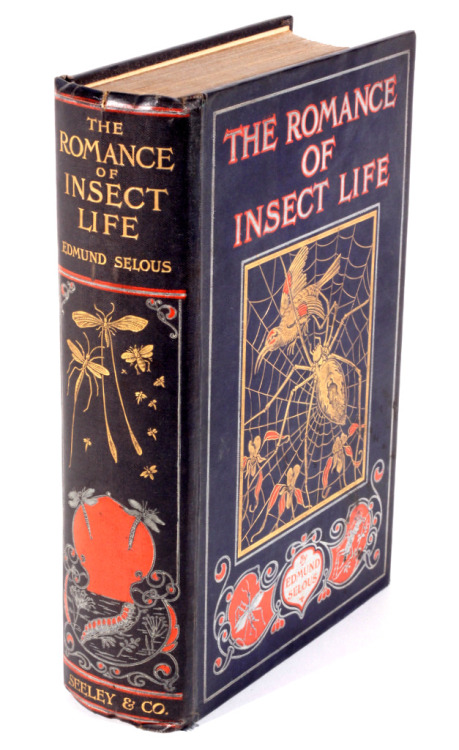 michaelmoonsbookshop:The Romance of Insect Life [Sold]