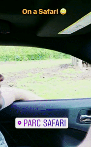 GIF, OWENS, GIF!