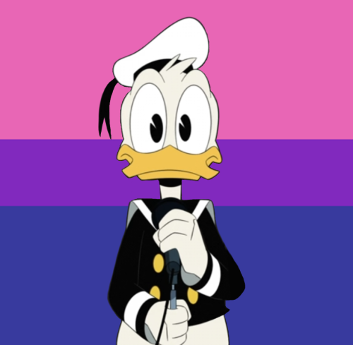 transdarkwingduck:ive had requests for gay and bi donald icons sitting in my inbox for ages lol bett