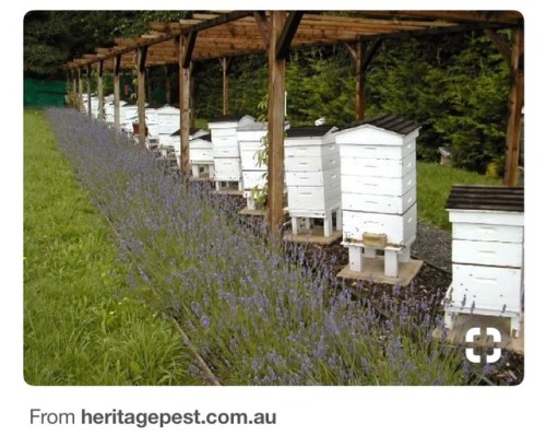 Brainstorming bee hive stand ideas&hellip;.