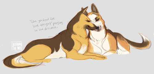 johannathemad:snk doge ver. based on this