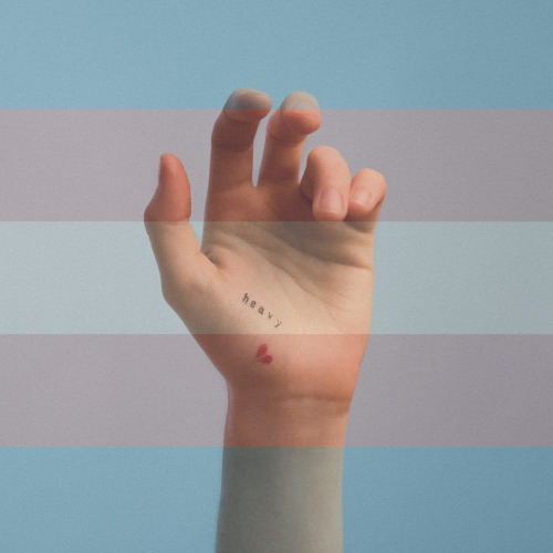 Heavy (Single) by Orla Gartland is claimed by the MLMs &amp; trans people!(requested by ano