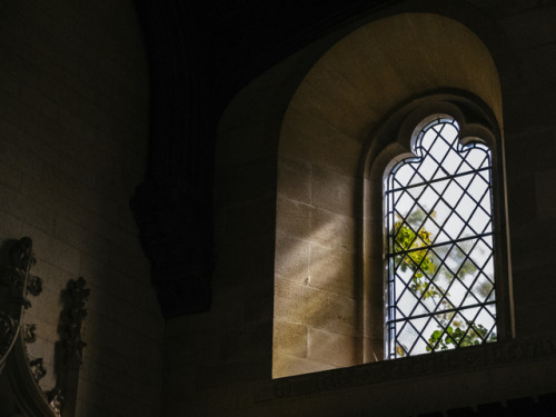 Light fall in Fitzalan Chapel, Arundel Castle Grounds, Arundel