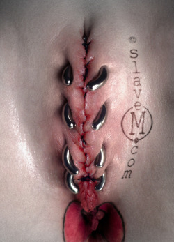 foreskin-for-skin:  yourfilthyslave:  pussymodsgalore:  pussymodsgalore  BDSM. Pussy closed by piercings with curved metal jewelry, also extensive stitching. A superb piece of work! (Amazingly I came across this via a “Recommended blog” link on my