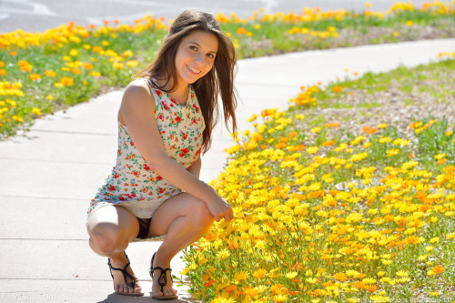 upskirtsalon:  upskirtsalon