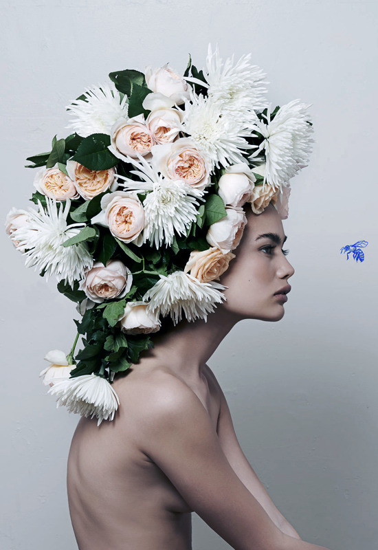 johnnybravo20:  Flowers (by Gina Kiel)