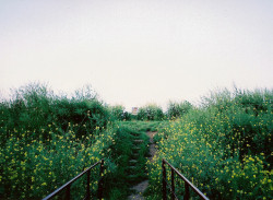 nostalgic-dreaming:  untitled by gracias! on Flickr. 