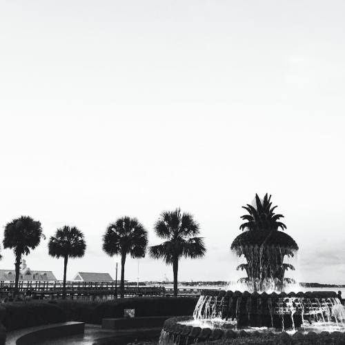 Palm trees &amp; pineapples&hellip; I&rsquo;m definitely in Charleston! can&rsquo;t wait for #TBSco