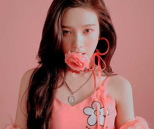 neweraidols:the perfect red velvet pink teasers