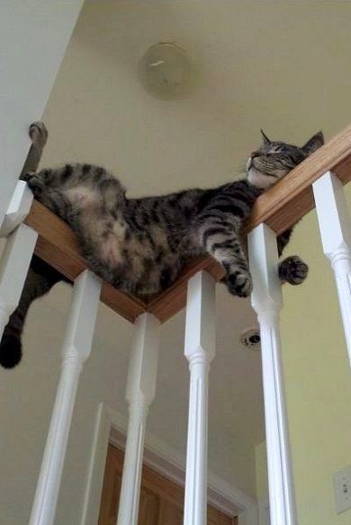 oooooooo:Pinterest • 世界中のおしゃれアイデアまとめ