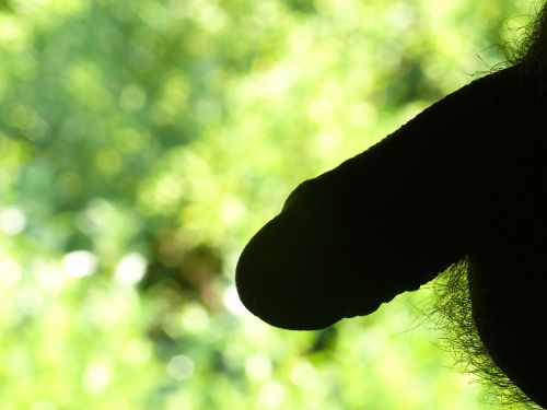 clstrreblog: dicksforgirls:  submission for dicksforgirls  Flaccid silhouette… 