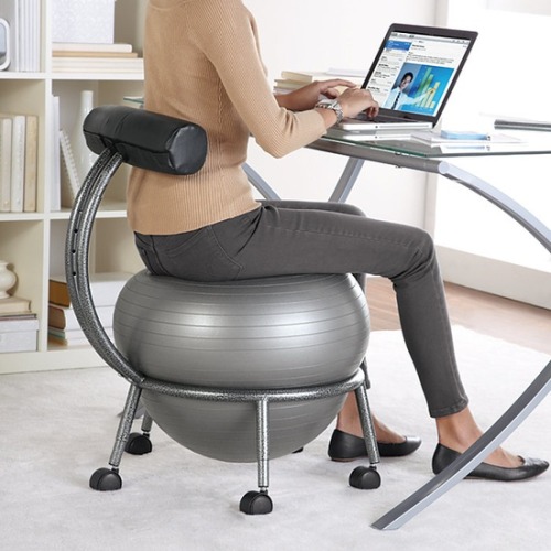 kakisibu: (Products I Love / FitBALL Balance Ball Chair..This is awesome.から)