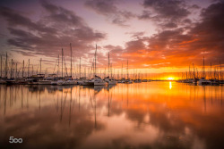 morethanphotography:Manly Boat Harbour by