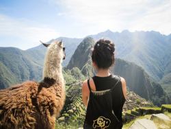 awwww-cute:  I was admiring Machu Picchu and a llama decided to join me 