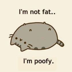 1ddirectioner1dznlhl:  Pusheen