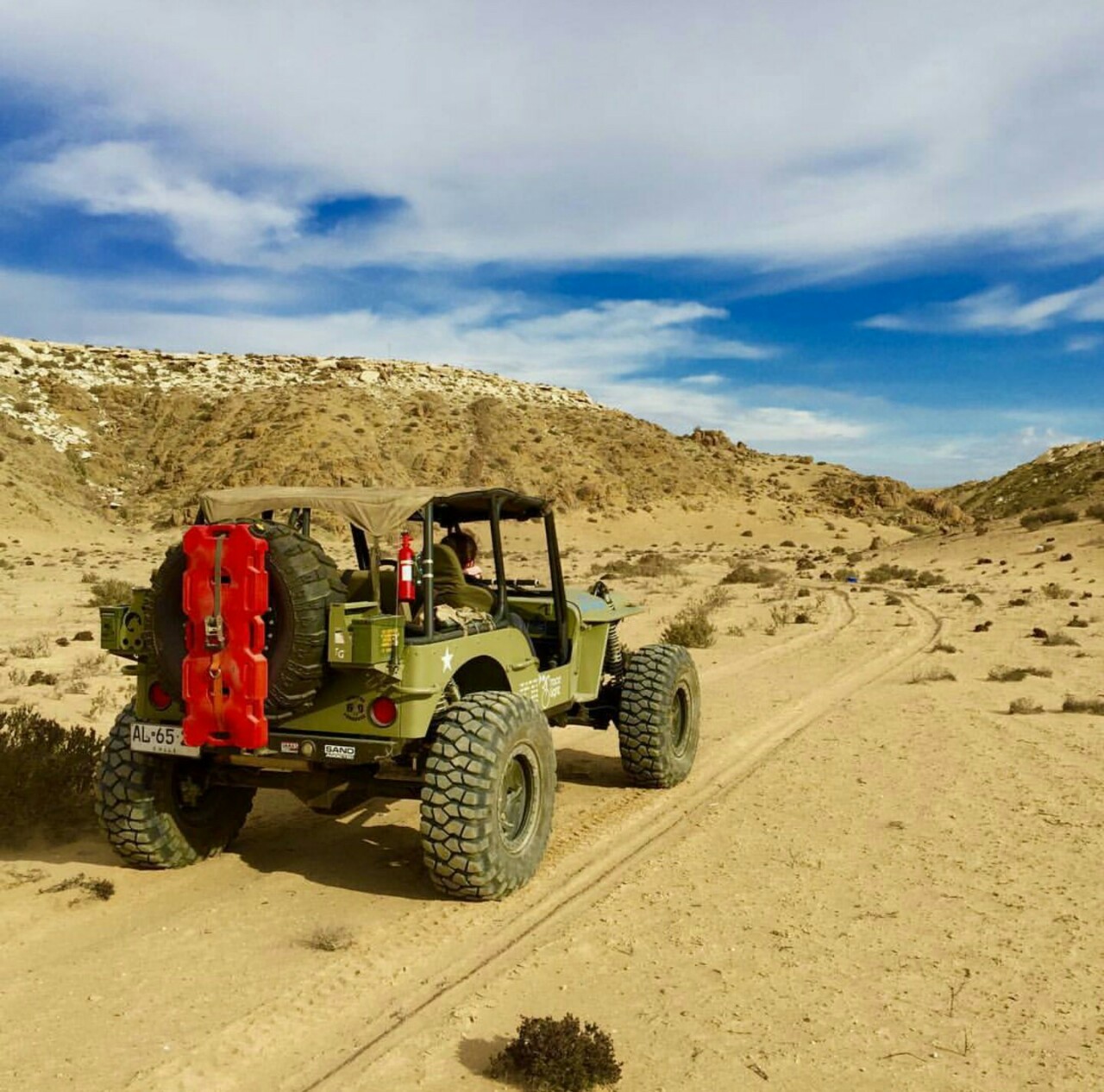 tacti-cole:  motivate-themonster-inside:  Sabastian Varas’ 13′ Willys MB located