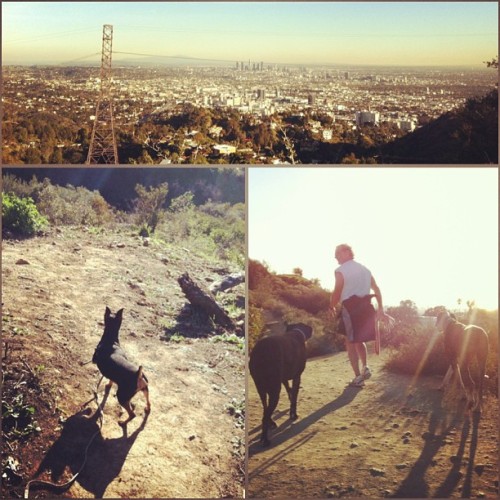 Layla’s 1st of many trips to #runyoncanyon . #losangeles #hollywood #mulhollanddrive (at Runyon Canyon Park)