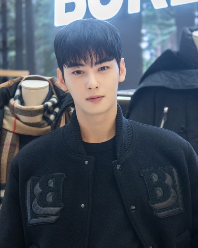 cha eun woo burberry