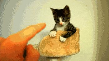awwww-cute:  I’ll mess you up