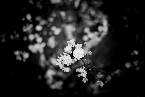 whitenes-s:  Untitled by   Leo Zhu 