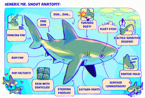 fabula-ultima:Anatomy of Little Shark ~