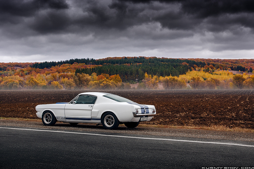 eevan666:   	Ford Mustang Shelby GT350     