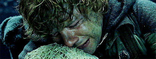 Our Favorites: [Day 05/24] Anastasias FavoriteFriendship (Lord Of The Rings) Frodo And Sam 