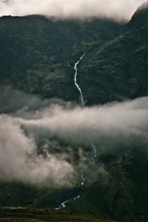 brutalgeneration:  (by Roman Königshofer)