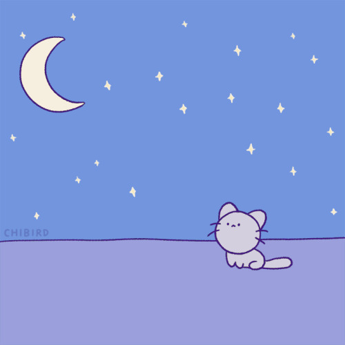 chibird:This is your sign that things will be okay. 🌙  Chibird store | Positive pin club | Webtoon  