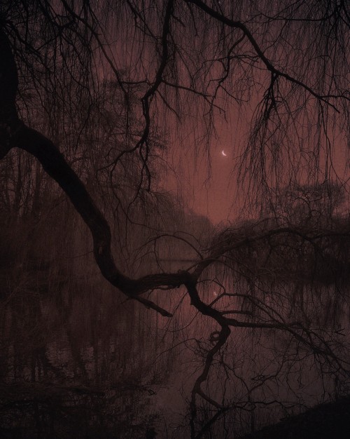 victorianink:  © Nona Limmen