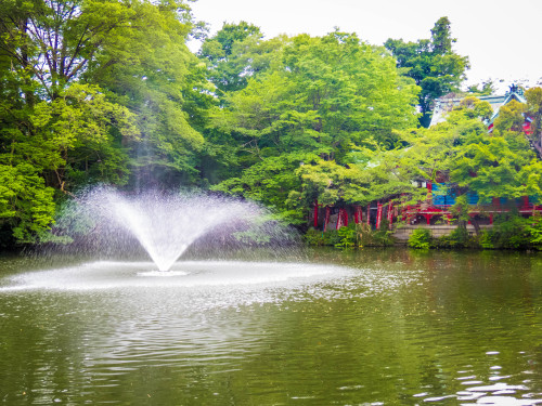 pikatru:mystayintokyo:Studio Ghibli Museum and Inokashira Parksomeone take me here