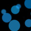 binatural