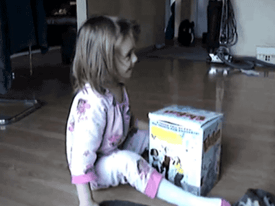 lolzpicx:  Cat in the box