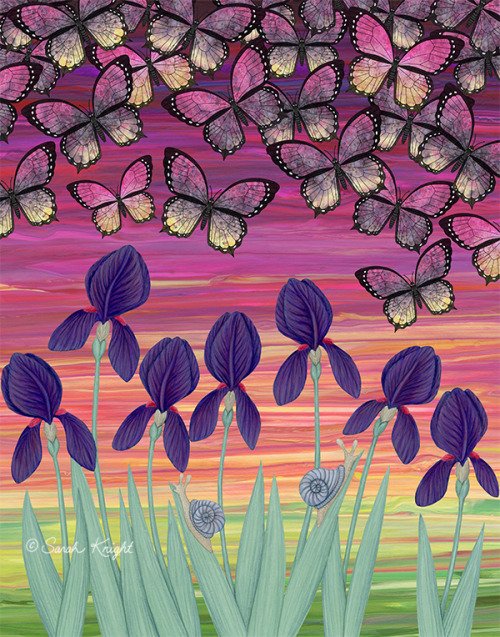 sunshinesight:irises, snails, and veronica butterflies - illustration by Sarah Knighthttps://society