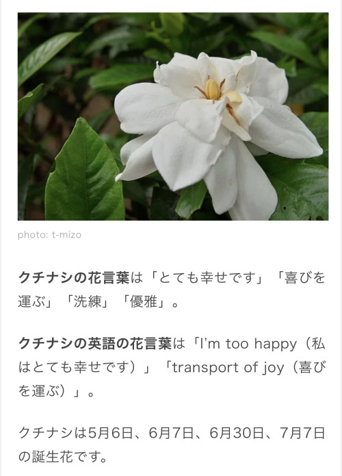 Hanakotoba Explore Tumblr Posts And Blogs Tumgir