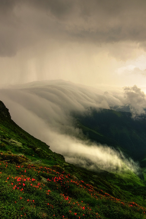 nordvarg:  Rodnei, Romania \\ Lazar Ovidiu               