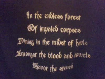 trashy-thrasher: In the endless forest Of impaled corpses Dining in the midst of howls Amongst the blood and bowels Savor the stench - Pallor Mortis, Savor the Stench Yes Peter, this is what I do with the shirts you give me lmao. 