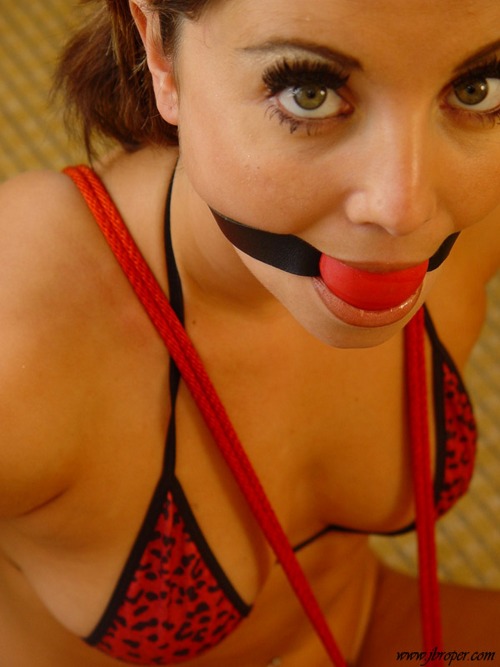 Bondage, lingerie and gagged HD / HQ