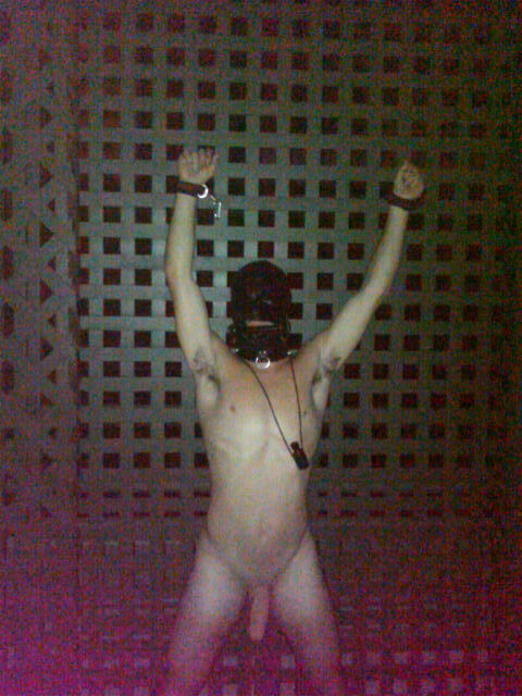 XXX sir-is-a-dom-pig:  A recent boy of Sirs in photo