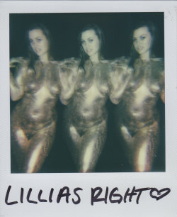 ryansuits:  New polaroids available on Etsy